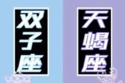 魔羯男眼中的双子女_双子女吸引魔羯男吗