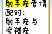 射手会很吸引魔羯吗_射手与魔羯配对分析
