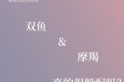 摩羯座和双鱼座合适吗_如何相处