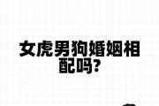 男狗双子女虎处女配吗_如何相处更长久