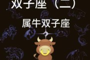 属牛双子女性格特点_如何相处