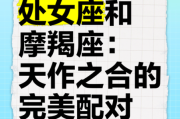 处女座和摩羯座适合做朋友吗_处女座和摩羯座配对指数