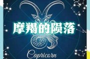 魔羯座大佬多吗_魔羯座成功人物有哪些