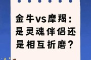 金牛魔羯同居合适吗_金牛魔羯同居注意事项