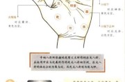 双鱼纹命运_如何解读手相中的双鱼纹