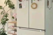 魔羯座女专属冰箱怎么选_适合魔羯座女的冰箱品牌