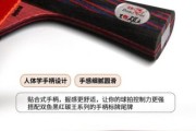 双鱼老球拍怎么样_双鱼老球拍值得买吗
