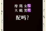 魔羯男和魔羯女配对指数_合适吗