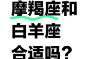 白羊座和摩羯座谁更厉害_谁更容易成功