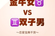 金牛男双子女谁主导_金牛男双子女谁占上风