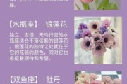 天蝎座象征花是什么_天蝎座守护花语大全