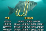 双鱼328适合什么钓法_双鱼328线组搭配技巧