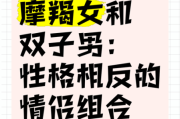 魔羯座和双子座哪个好_性格差异全解析