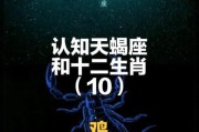 天蝎座鸡年运势如何_天蝎座鸡年性格特点