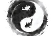 太极双鱼图_含义是什么