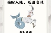 魔羯座2024运势如何_魔羯座事业财运详解