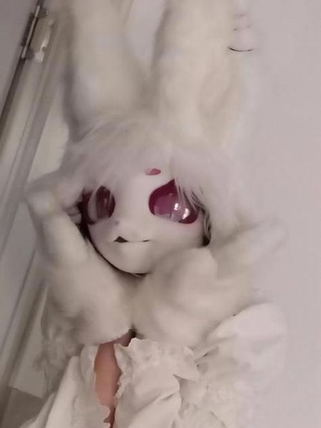 双子女兔最配_双子女兔和什么星座最合拍