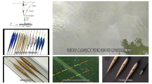 双鱼游泳技巧_初学者常见问题