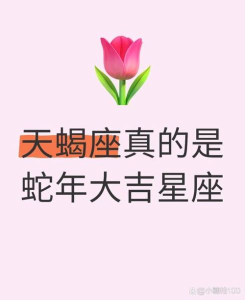 生肖龙天蝎座性格特点_适合职业