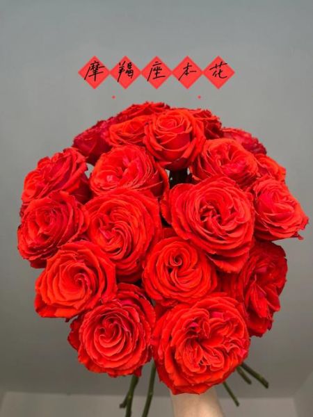 魔羯女适合什么花_魔羯座女生送花推荐