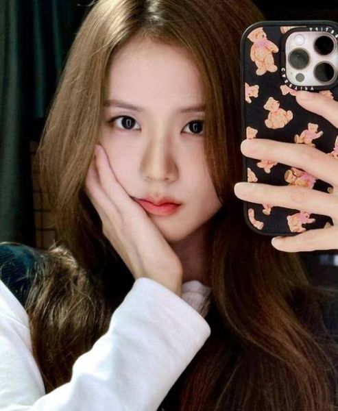 金智秀魔羯性格特点_金智秀魔羯座事业运势