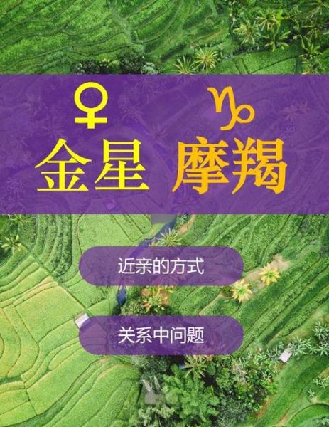 水星金星魔羯性格_如何相处