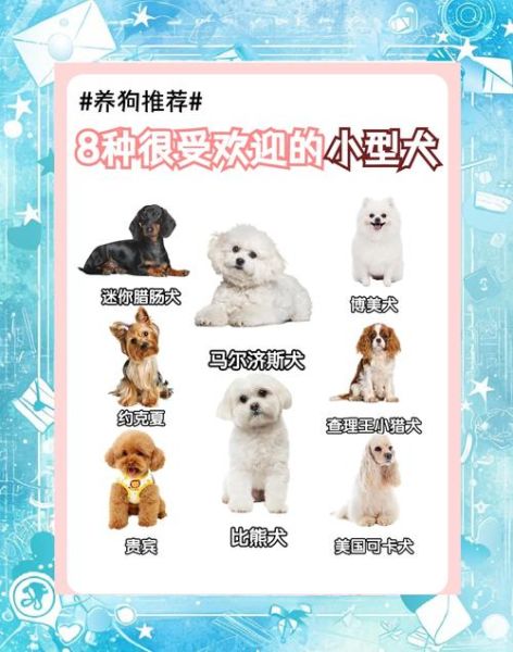 魔羯座适合养什么狗_魔羯座适合养什么小型犬