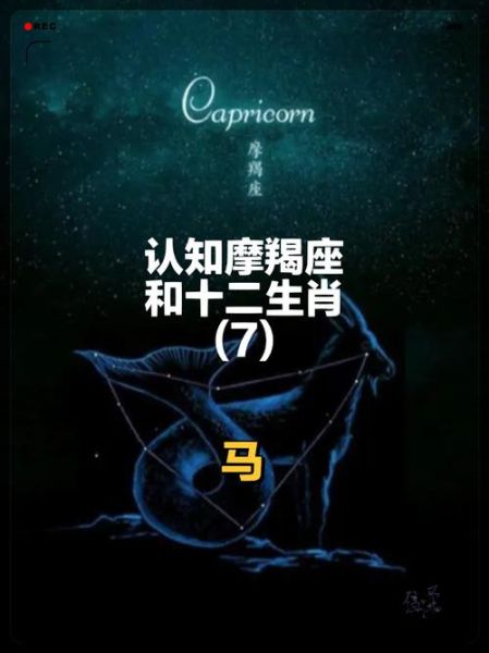 属马魔羯座适合什么工作_属马魔羯座职业选择