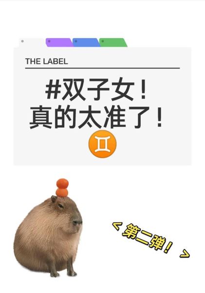 03年双子女性格特点_如何与03年双子女相处