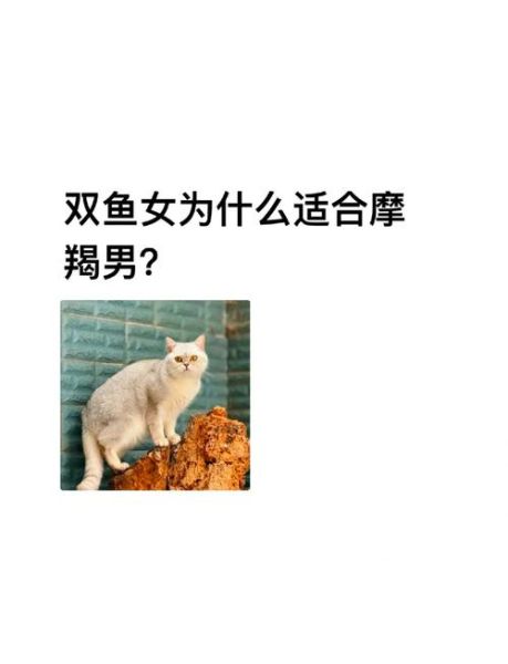 魔羯座和双鱼座配吗_性格差异如何磨合