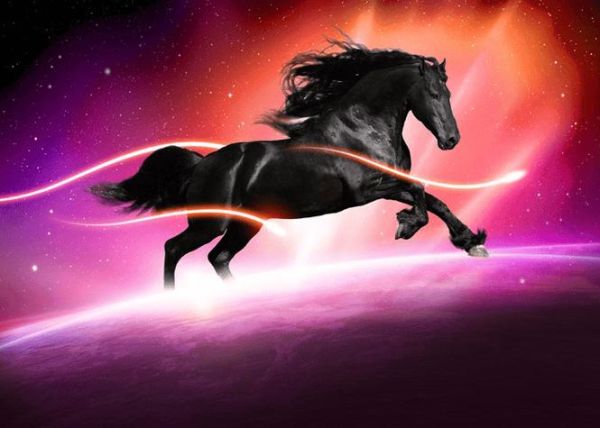 魔羯黑马_如何识别并驾驭