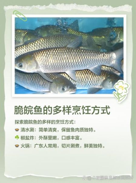 皖双鱼是什么鱼_皖双鱼多少钱一斤