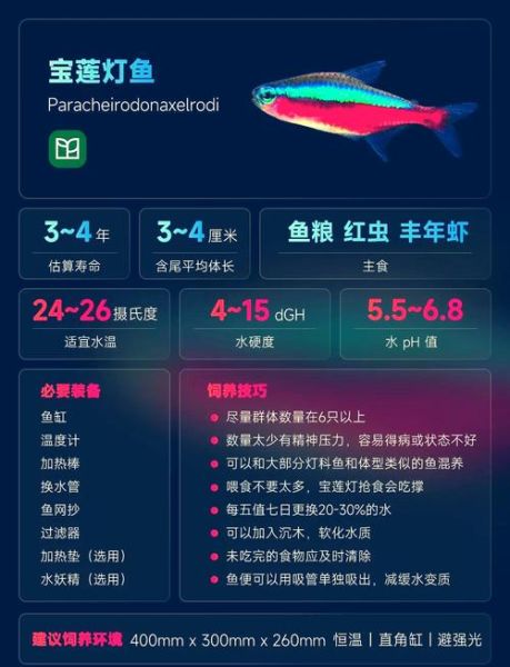 魔羯鱼灯是什么_魔羯鱼灯怎么用