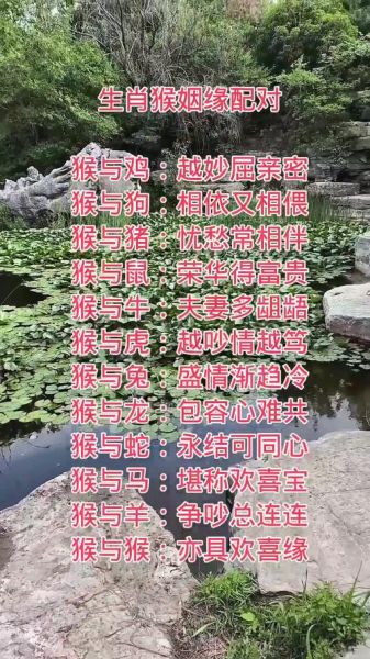 猴双子女和什么星座最配_猴双子女性格特点