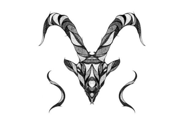 黏魔羯是什么_黏魔羯如何区分真假