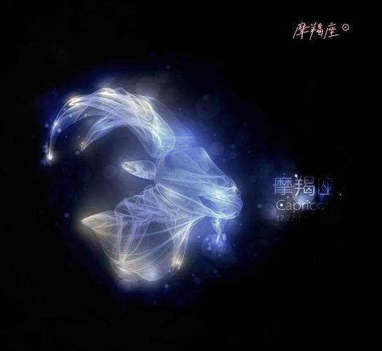 魔羯座星空图案_魔羯座为什么像山羊鱼尾
