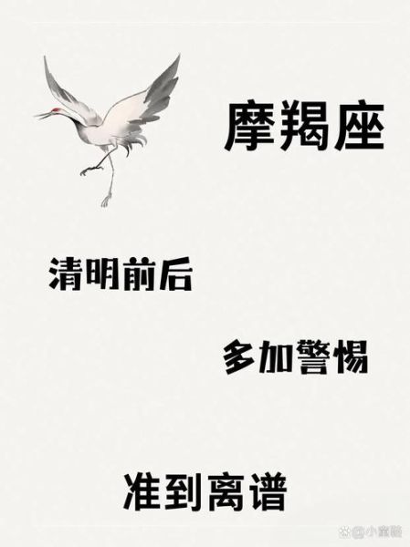 魔羯风雨兼程是什么意思_如何理解风雨兼程