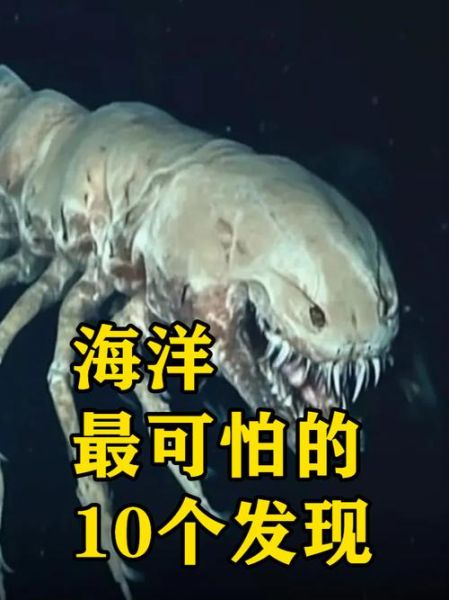 海怪魔羯是什么_海怪魔羯真的存在吗