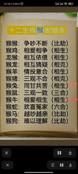 猴双鱼ab性格特点_猴双鱼ab适合什么职业