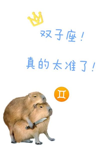 狮子座女和双子女适合做朋友吗_性格差异大揭秘