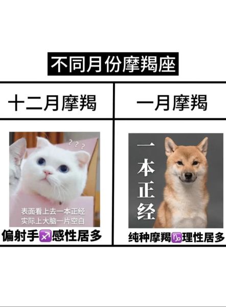 魔羯和巨蟹谁厉害一点_星座实力对比