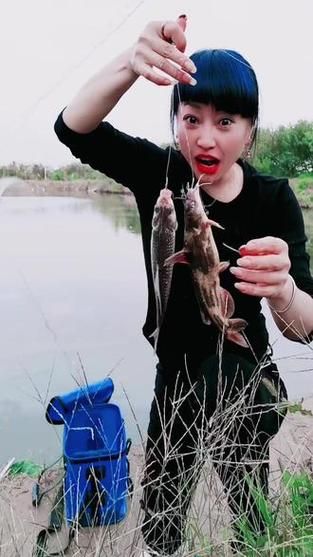 顶双鱼是什么_顶双鱼怎么钓