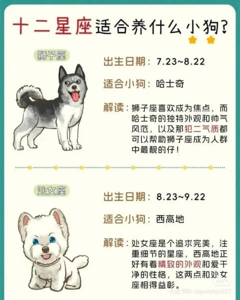 魔羯座适合养什么狗_魔羯座专属狗狗性格匹配