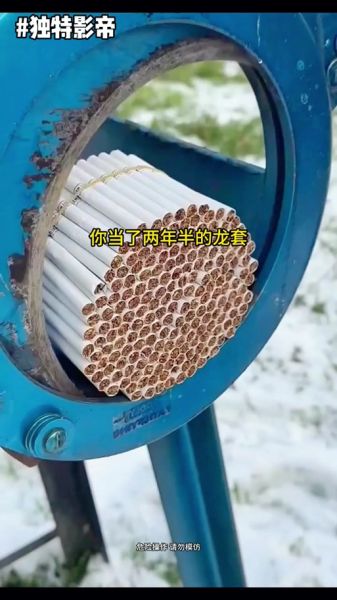 菲律宾电影天蝎座2剧情解析_菲律宾电影天蝎座2结局是什么意思