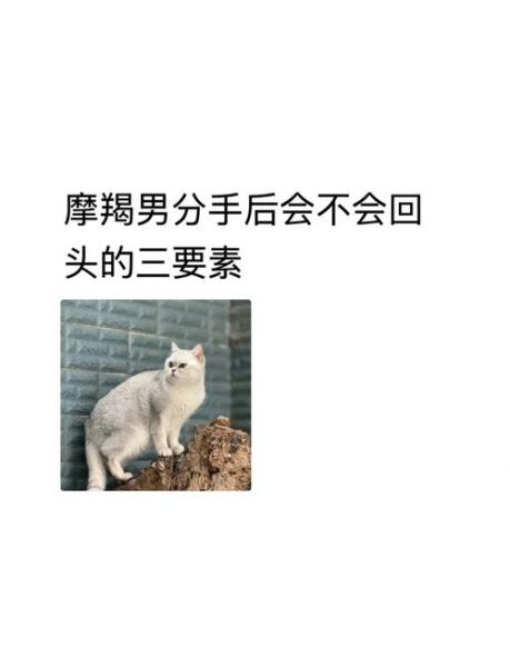 魔羯男分手后会回头吗_如何让魔羯男重新联系你