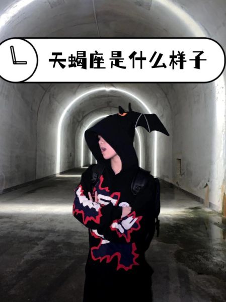 天蝎座军团是什么组织_天蝎座军团真实存在吗