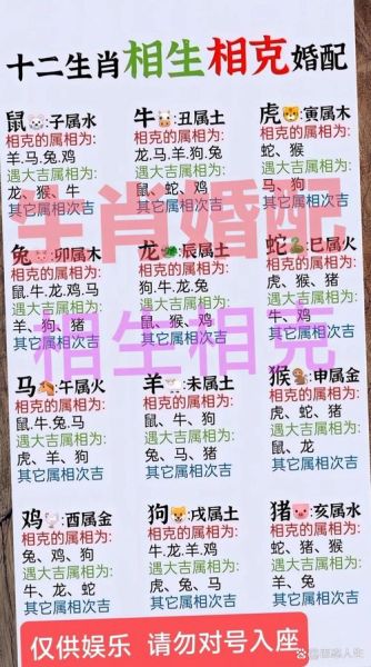 鼠射手男牛双子女配对吗_性格差异大吗