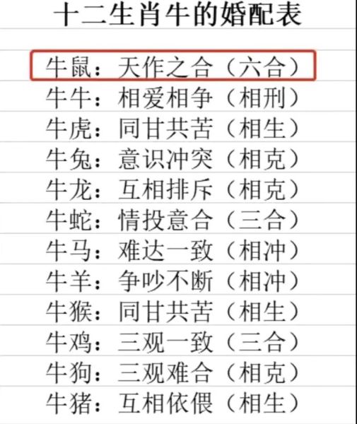 鼠射手男牛双子女配对吗_性格差异大吗