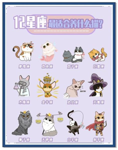 魔羯座喜欢猫吗_魔羯座适合养猫吗