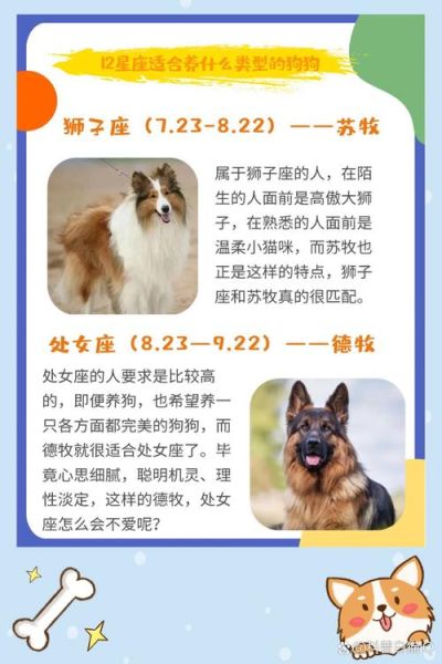 魔羯狗狗性格特点_如何训练魔羯狗狗